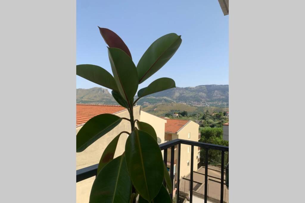 Casa Vacanza - I Mulini Con Parcheggio Gratuito Incluso. Monreale Exterior foto